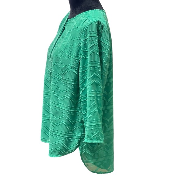 TALBOTS MINT GREEN CHIFFON TEXTURED BLOUSE SZ LP - Picture 4 of 10